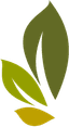 Tea Shots Club Logo